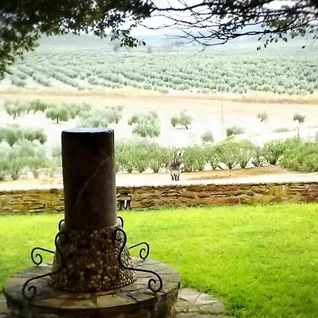 Cortijo Rurales