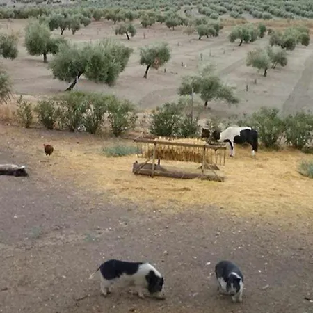 Cortijo Rurales Apartamento *