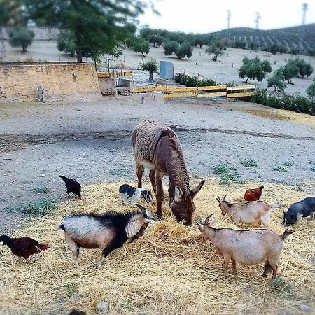 Cortijo Rurales Apartamento *